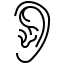 Vestibular