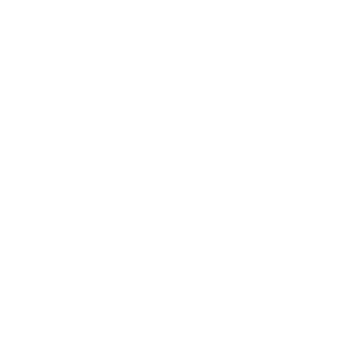 COMPREHENSIVE FUNCTIONAL ASSESSMENT